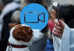 Cardenal hará bendición de mascotas online: así puedes participar