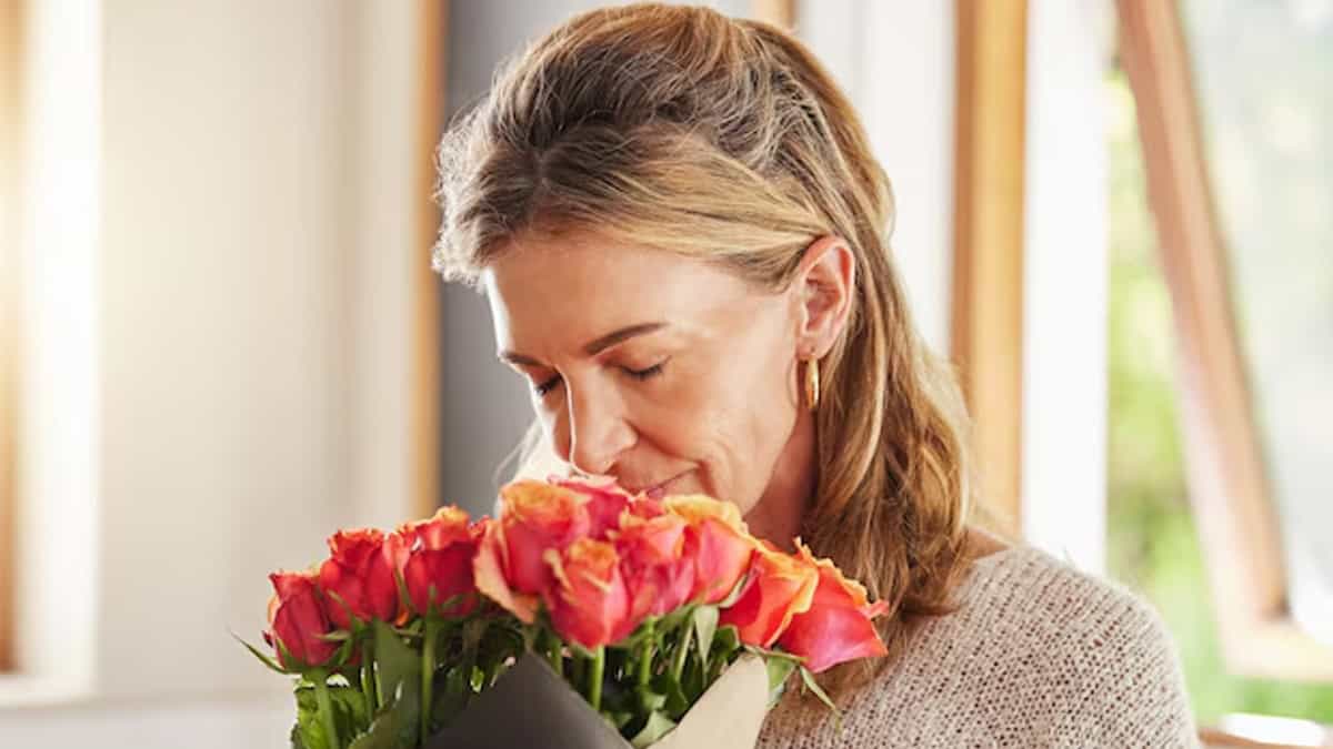 ¿Qué comer para el equilibrio hormonal? Profeco revela los alimentos más efectivos