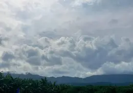 Tormenta tropical "Priscilla" se forma en el Pacífico: Estos estados serán afectados