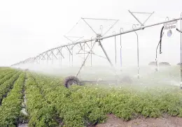 Avanzan obras hidroagrícolas
