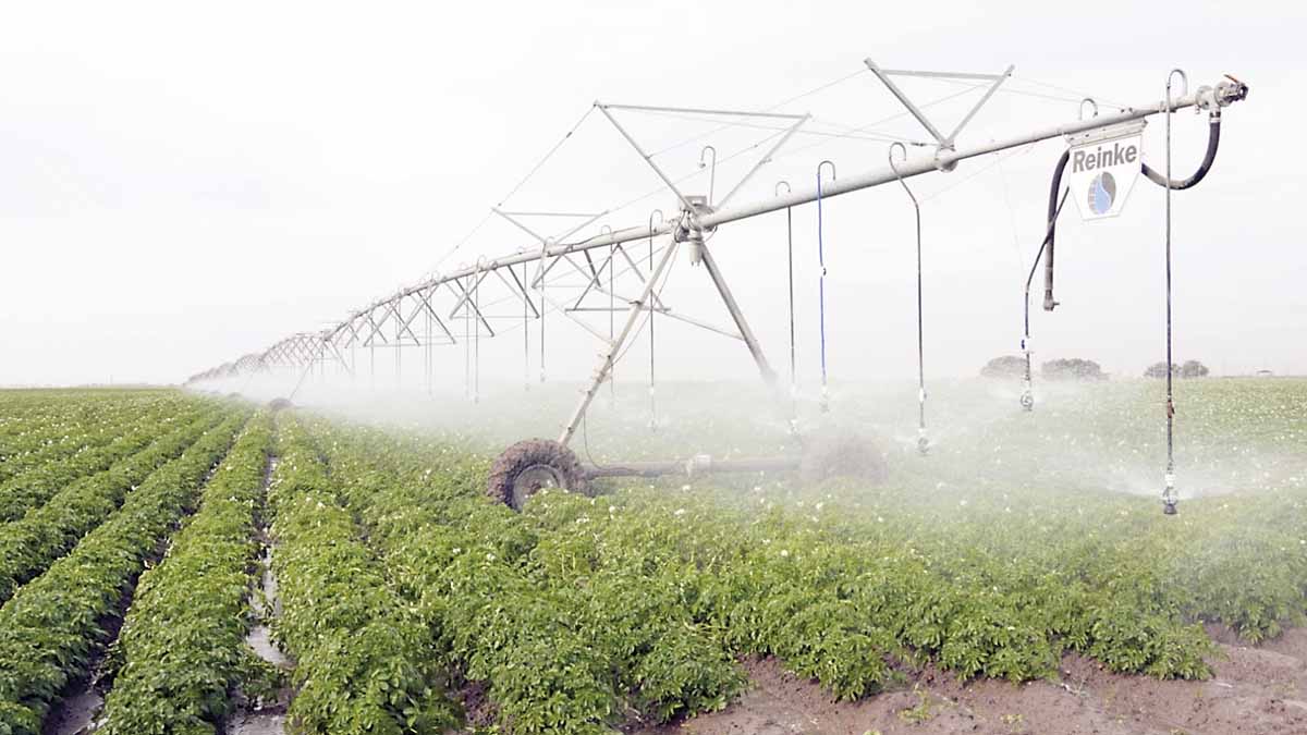 Avanzan obras hidroagrícolas