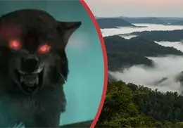 Las Leyendas de los Apalaches: ¿Por qué se están viralizando las Historias de Terror de este lugar?