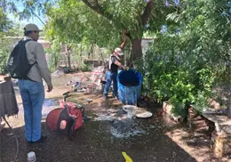 Aumentan casos de dengue en Navojoa, ya suman nueve