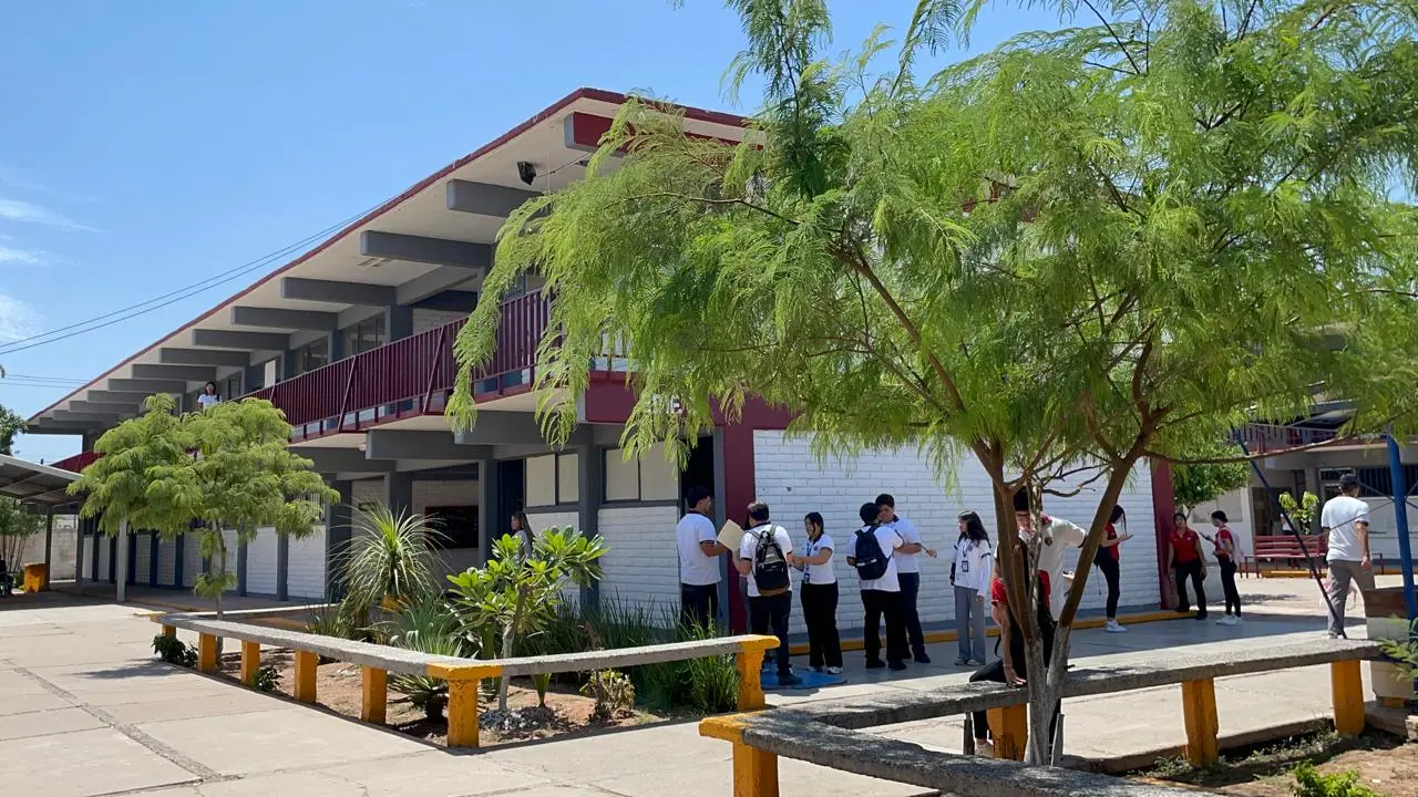 Por lo menos cinco escuelas de la región han suspendido clases debido a la presencia de abejas en las últimas semanas