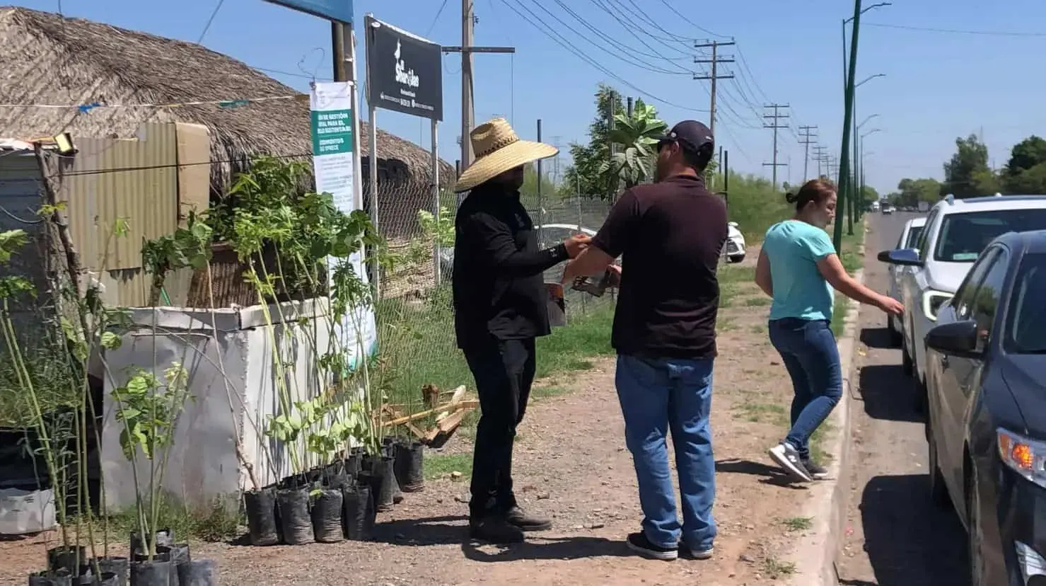 Invitan a cajemenses a adoptar árboles; Vivero Móvil acudirá a distintas comunidades