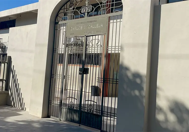 Abejas en primaria Carlos M. Calleja genera inquietud: hay cuatro personas picadas