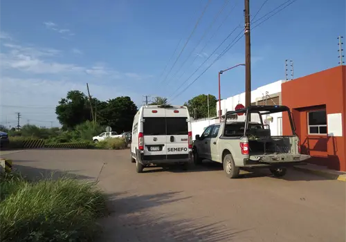 Hallan restos humanos al norte de Ciudad Obregón