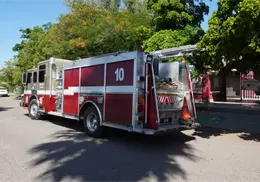 Llamados por abejas en escuelas y lugares públicos son prioritarios: Bomberos de Cajeme