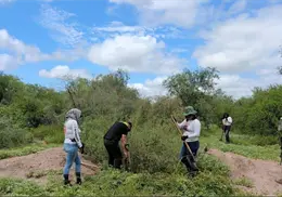 Búsqueda positiva en San Ignacio Río Muerto Guerreras Buscadoras hallan restos calcinados