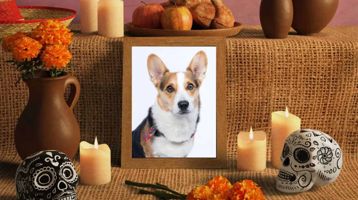 Día de Muertos: ¿Cuándo se pone la ofrenda para las mascotas y qué elementos lleva?  