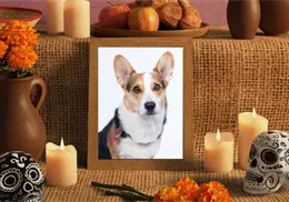 Día de Muertos: ¿Cuándo se pone la ofrenda para las mascotas y qué elementos lleva?  
