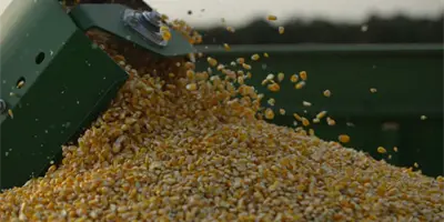 Sader simplifica trámites para ahorro de costos