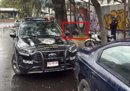 ¿Indiferencia, normalización o falta de empatía? Critican a mujer por comer pizza a un lado de un indigente muerto