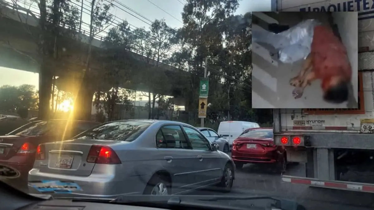 ¿Final feliz? Pasajeros someten y golpean a un asaltante en un autobús