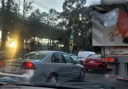 ¿Final feliz? Pasajeros someten y golpean a un asaltante en un autobús