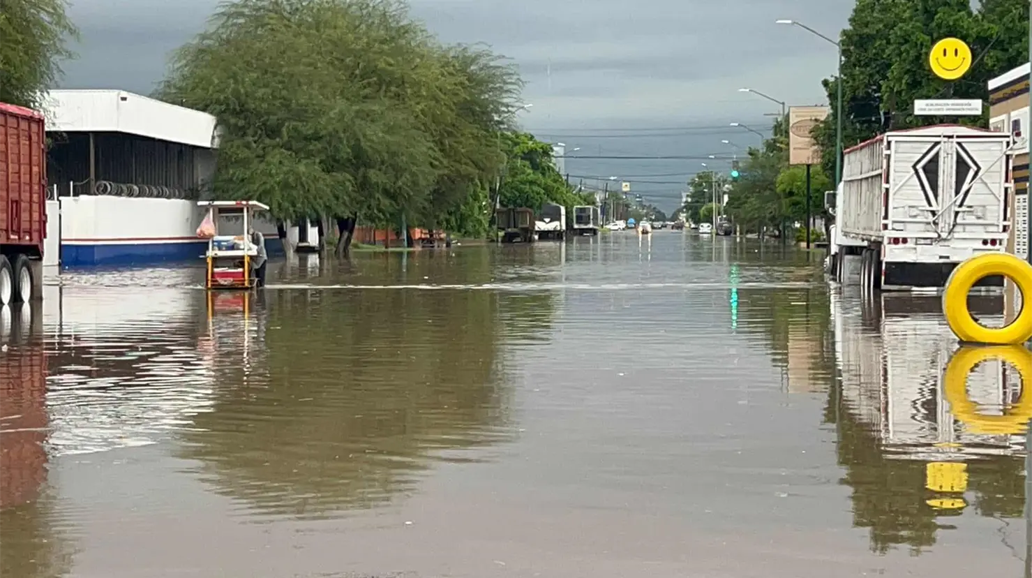 Deja Raymond calles inundadas y árboles caídos en Ciudad Obregón