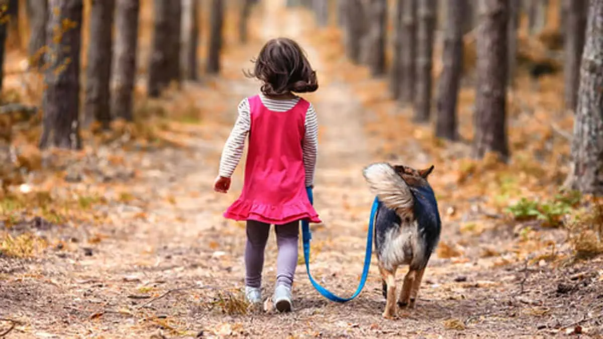 Detienen a niña de 12 años conduciendo: intentaba salvar a su cachorrito