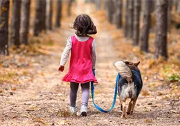 Detienen a niña de 12 años conduciendo: intentaba salvar a su cachorrito