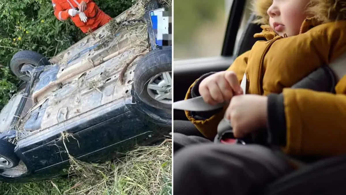 Milagro en la carretera: niño de 4 años sobrevive 2 días en carro en un barranco; sus padres murieron