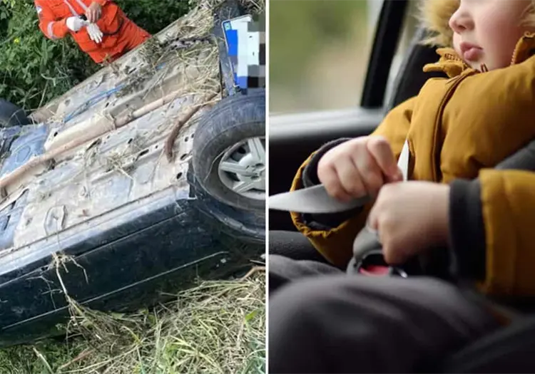 Milagro en la carretera: niño de 4 años sobrevive 2 días en carro en un barranco; sus padres murieron