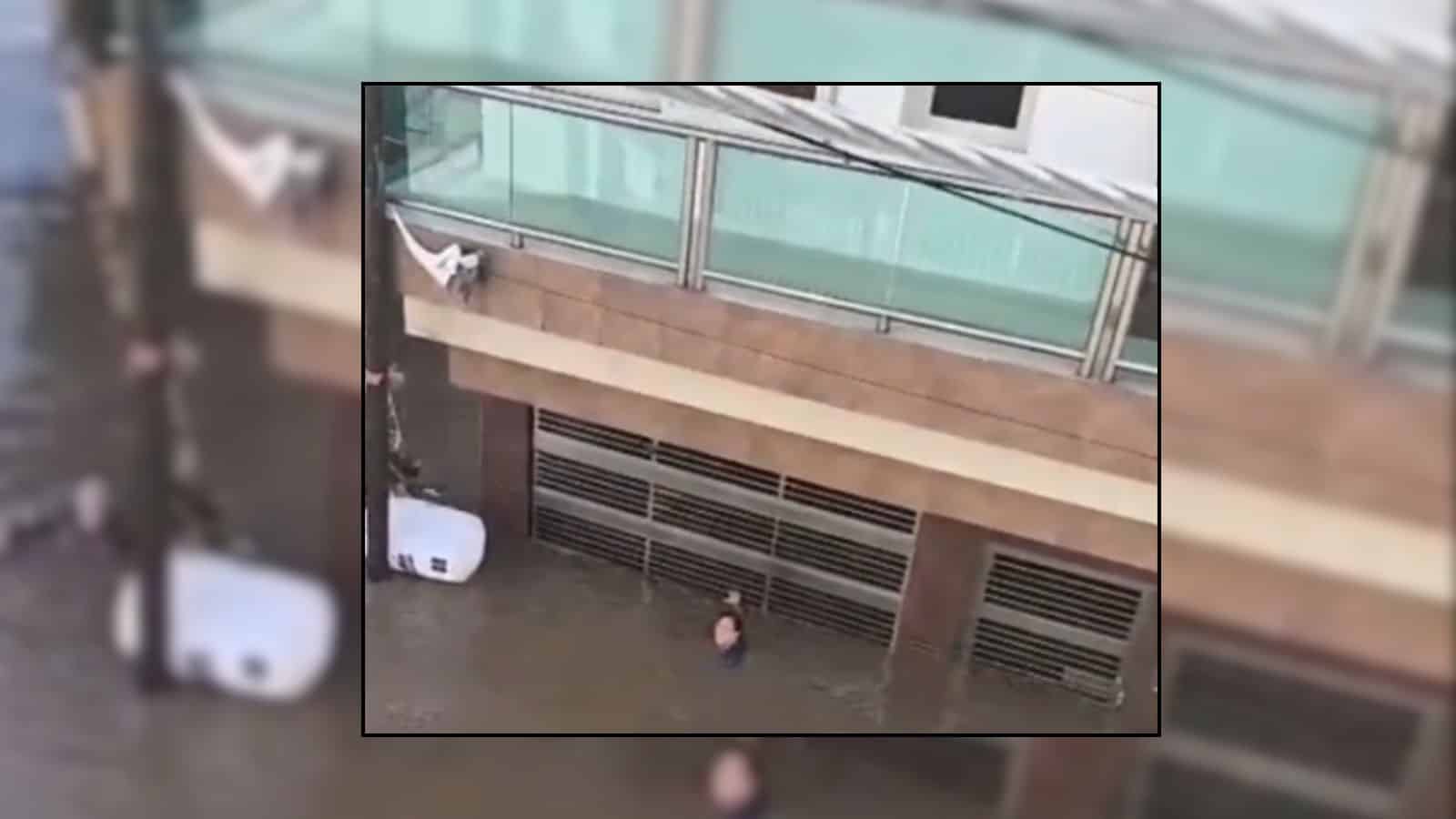 VIDEO | Padre se lanza al agua para rescatar a sus hijas y nietas durante inundaciones en Veracruz