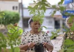 Cajemenses responden a campaña de reforestación
