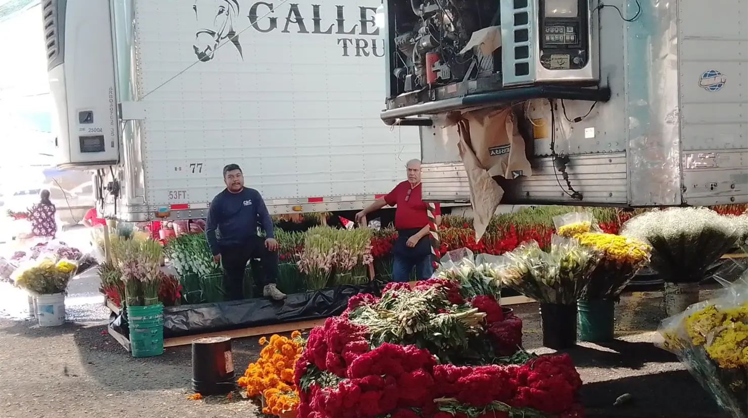 Llegarán este mes productores de flores a Cajeme