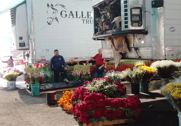 Llegarán este mes productores de flores a Cajeme