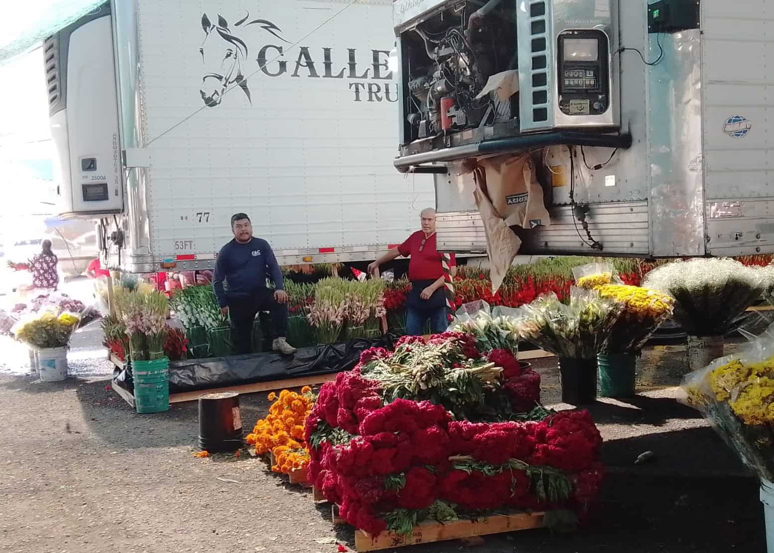 Llegarán este mes productores de flores a Cajeme