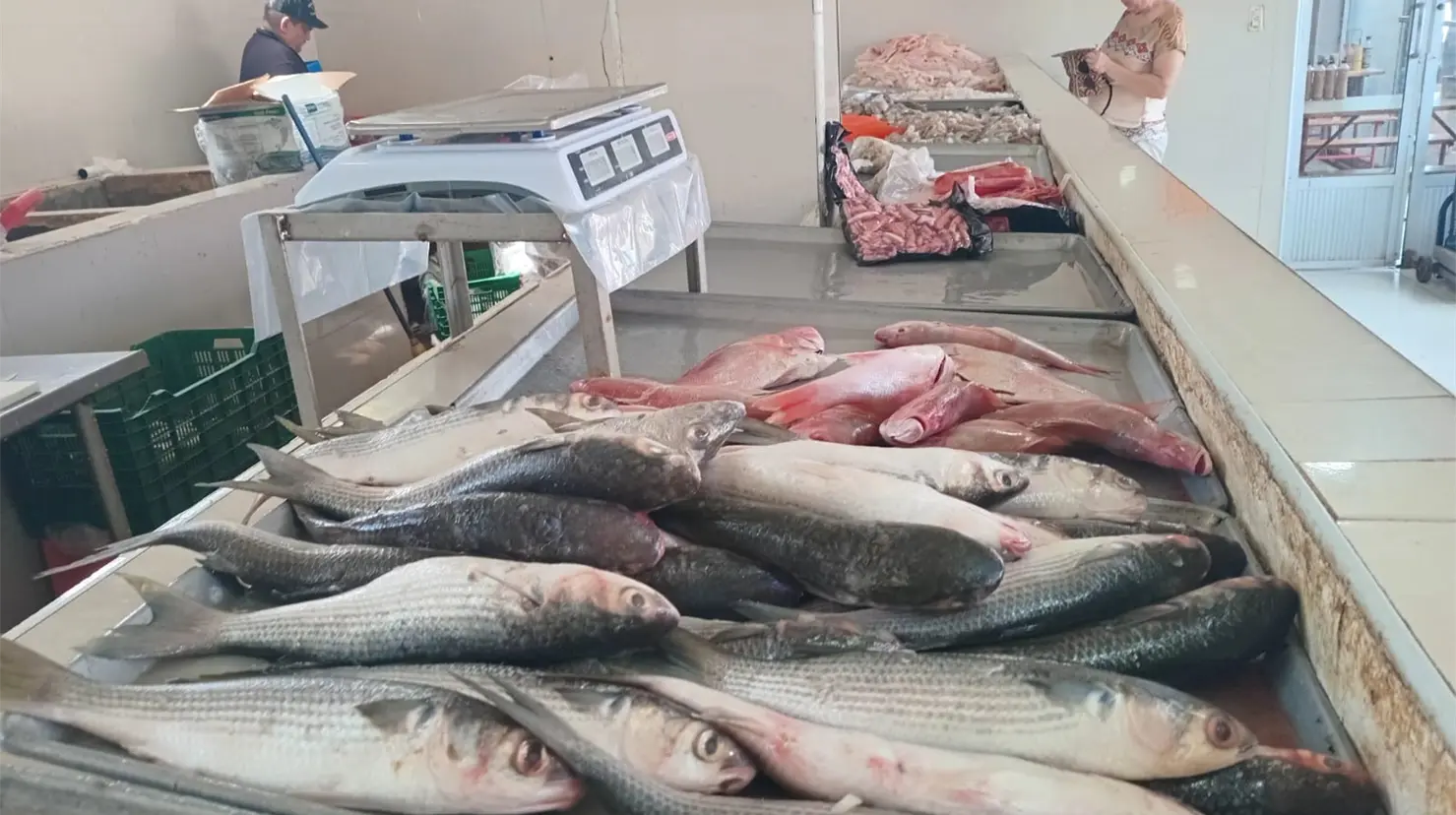 Muy bajo el surtido de productos del mar en Cajeme