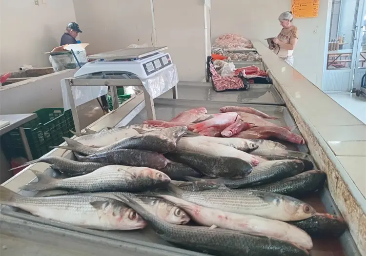 Muy bajo el surtido de productos del mar en Cajeme