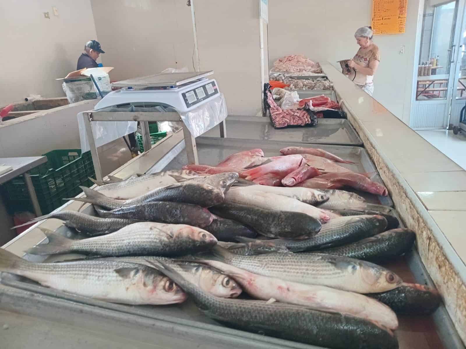 Muy bajo el surtido de productos del mar en Cajeme