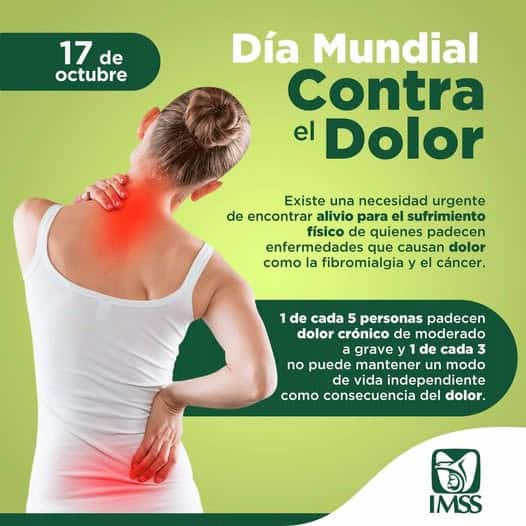 imagen-cuerpo imagen-cuerpo