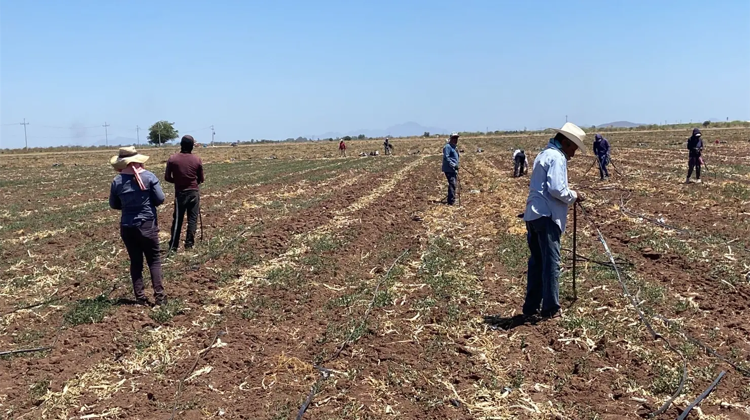 Apoya Sindicato de Jornaleros a los agricultores