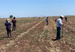 Apoya Sindicato de Jornaleros a los agricultores