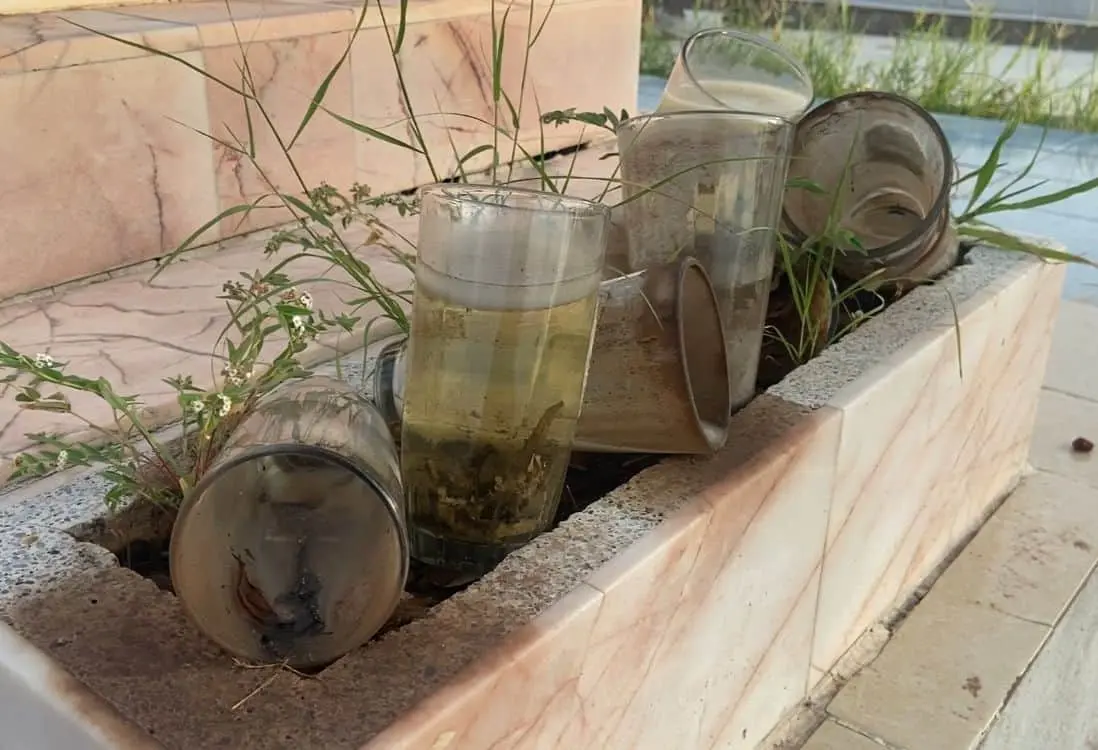 Día de Muertos: Piden evitar contenedores con agua en los panteones de Navojoa