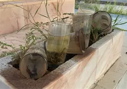 Piden evitar contenedores con agua en los panteones de Navojoa este Día de Muertos