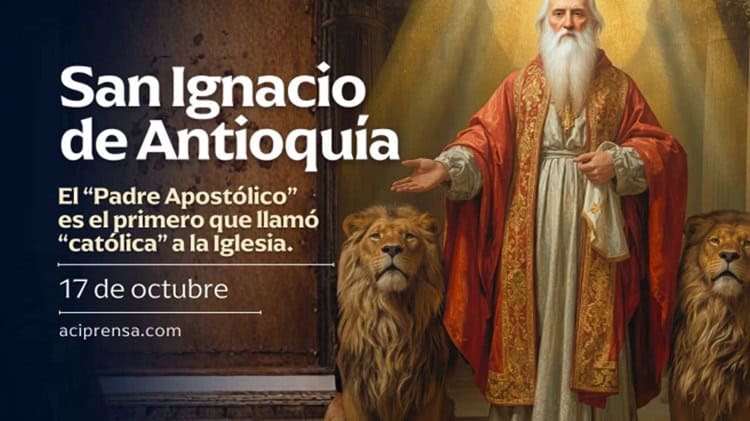 imagen-cuerpo imagen-cuerpo