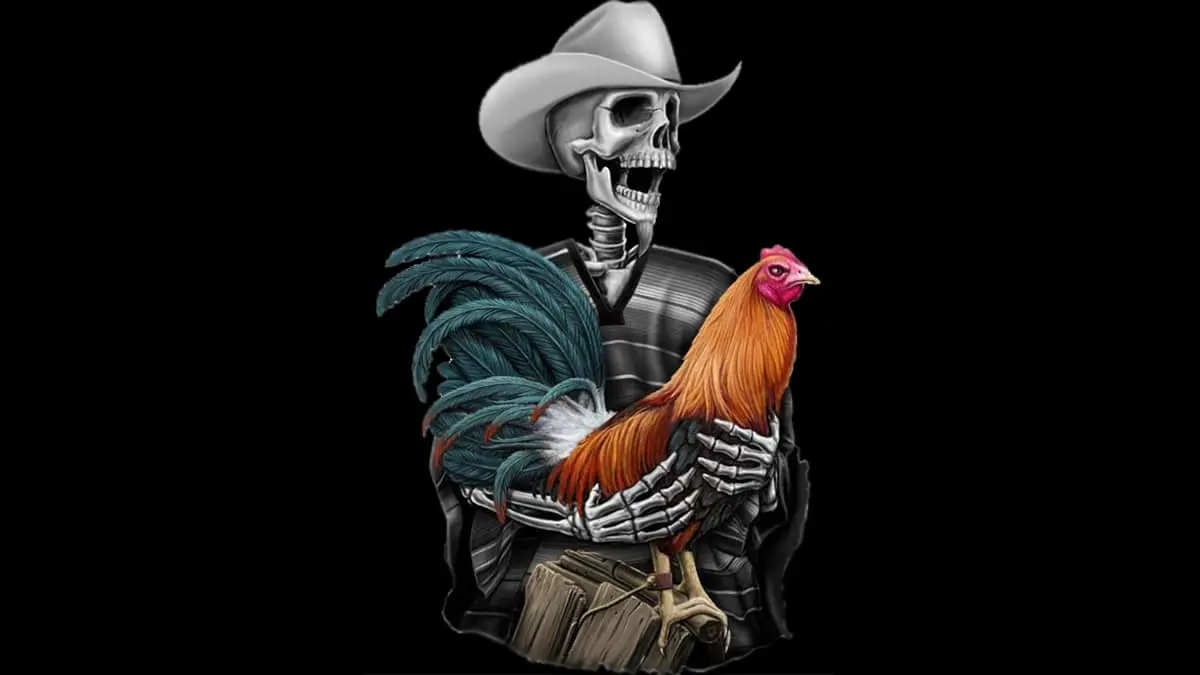 VIDEO | Hombre muere luego de ser herido por su propio gallo en una pelea clandestina