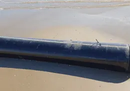 Encuentran posible basura espacial y delfines muertos en playa de Tamaulipas