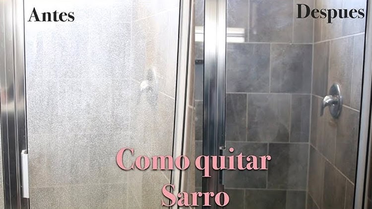 imagen-cuerpo imagen-cuerpo