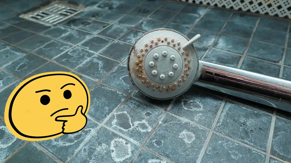 Ingeniero químico te dice cómo acabar con el sarro en la ducha