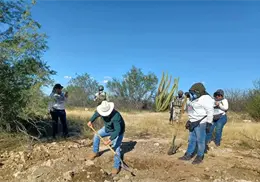 Buscadora por la Paz Sonora descartan puntos de fosas