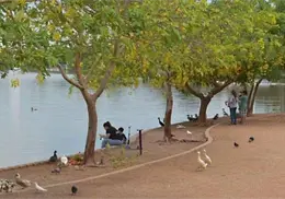 Intensifican labores de mantenimiento en la Laguna