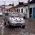 VIDEO | ¿Se registró una “lluvia” ranas en Brasil? Esto sabemos