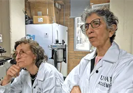 Científicas de la UNAM crean molécula prometedora para tratar cáncer de mama triple negativo