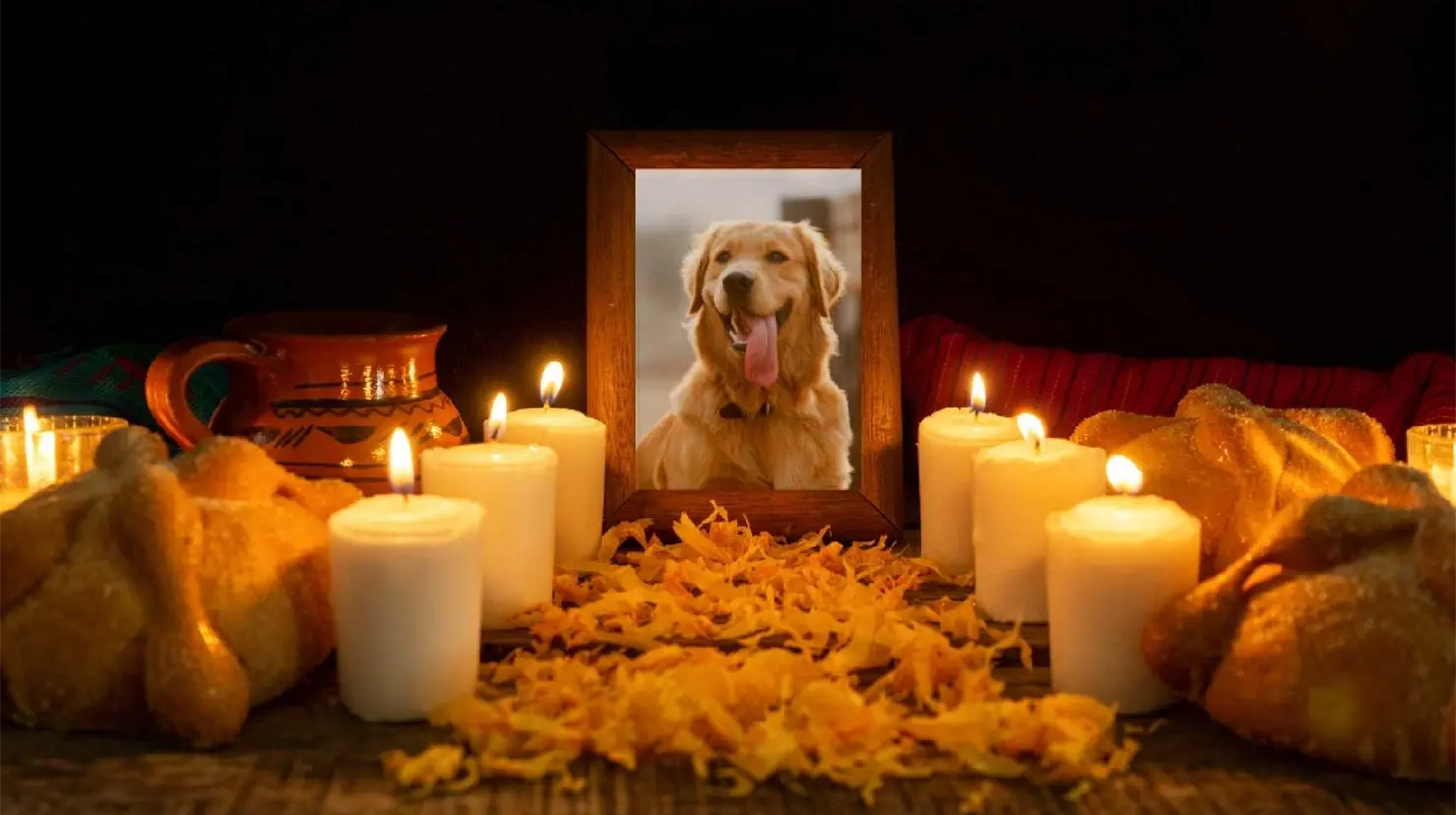 Día de Muertos: ¿Qué elementos esenciales debe de llevar una ofrenda dedicada a las mascotas?