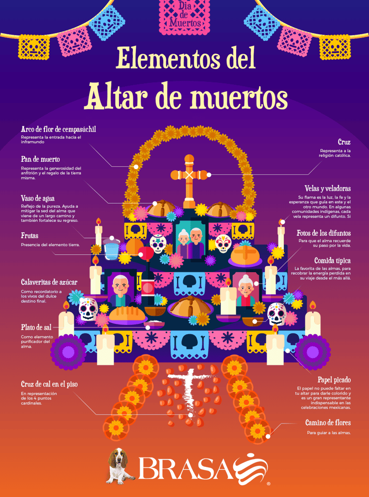 imagen-cuerpo