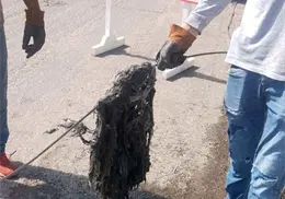 Basura invade red de drenaje y podría agravar problemas en Navojoa