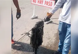 Basura invade red de drenaje y podría agravar problemas en Navojoa